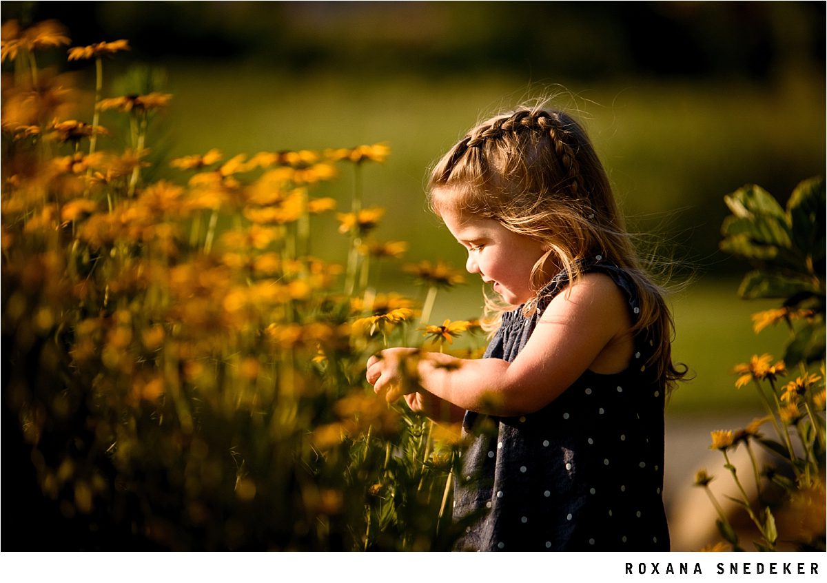 Indianapolis, Fishers, Noblesville, Carmel, Westfield, Zionsville Family Photographer