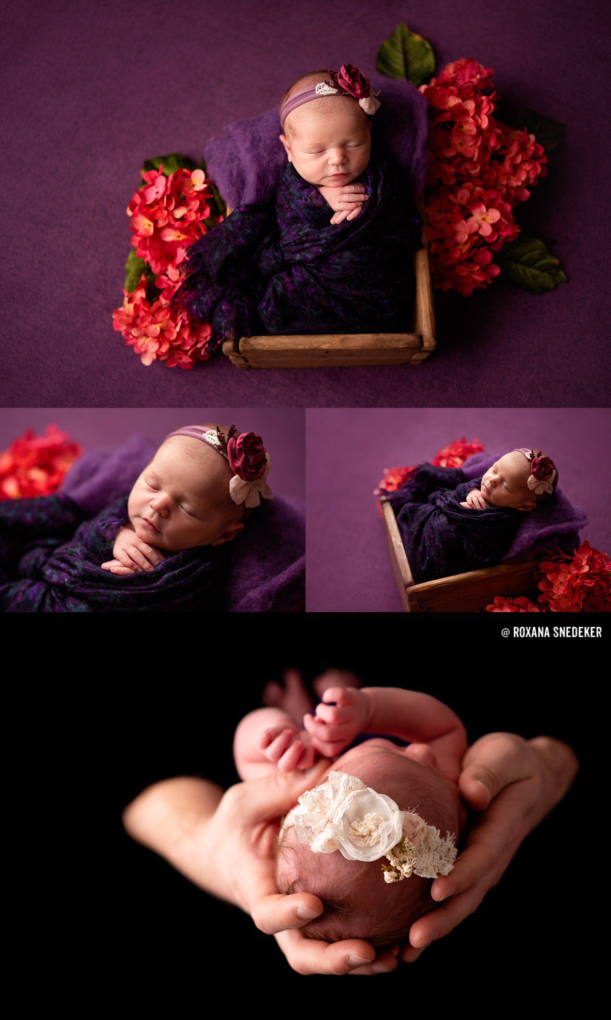 Creative newborn photography