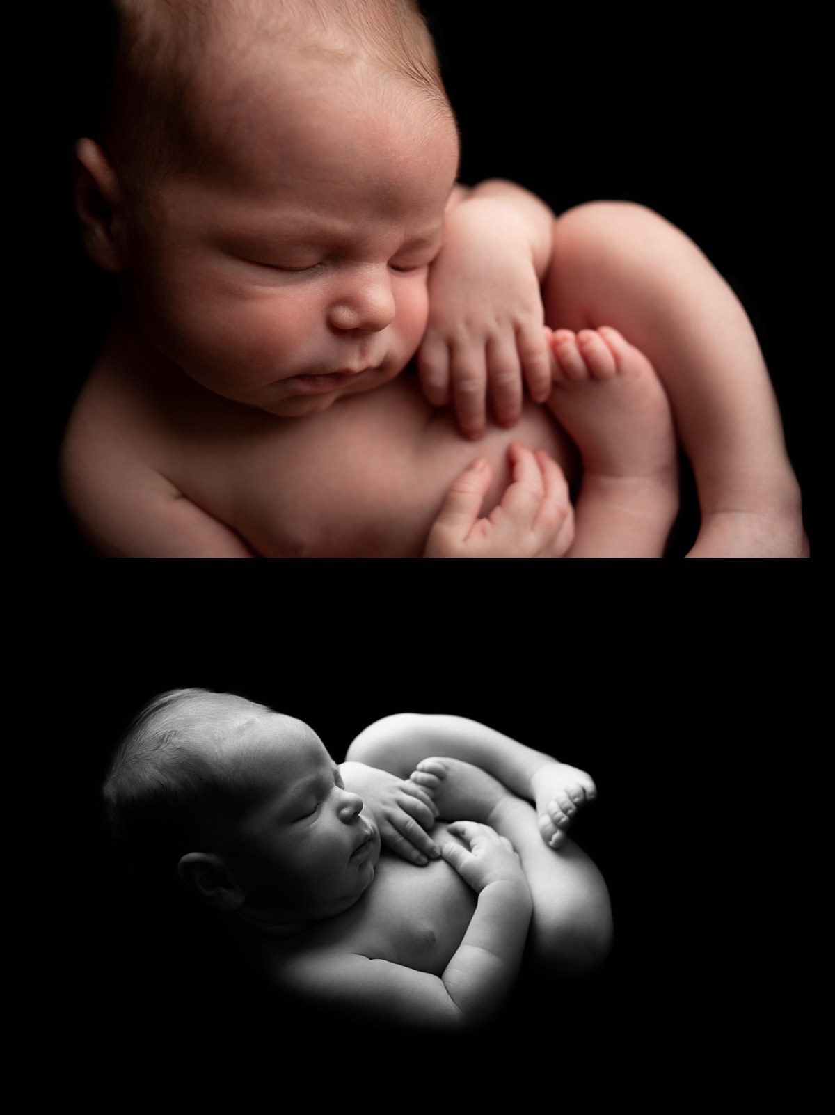 Newborn Photography serving Noblesville, Westfield, Carmel and surrounding areas
