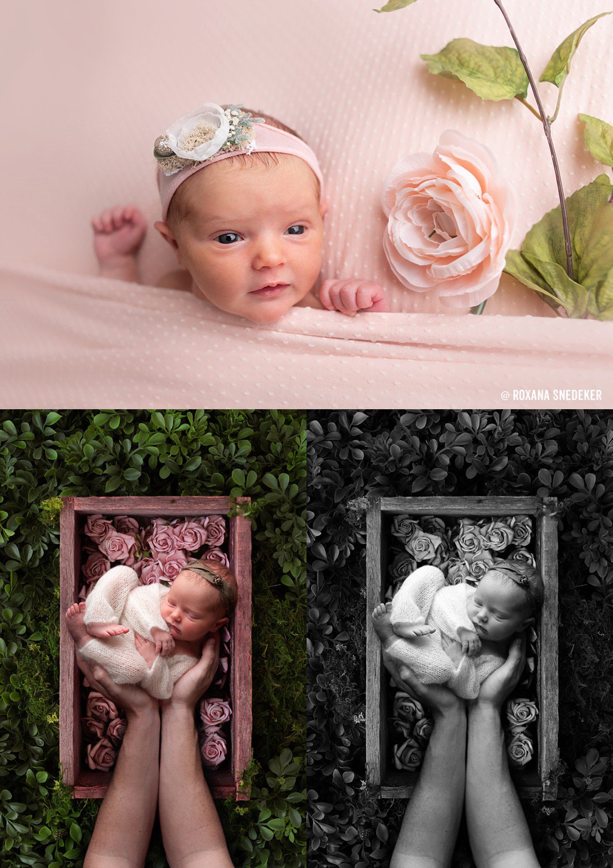 Indianapolis family & newborn photographer located in Noblesville, Indiana 