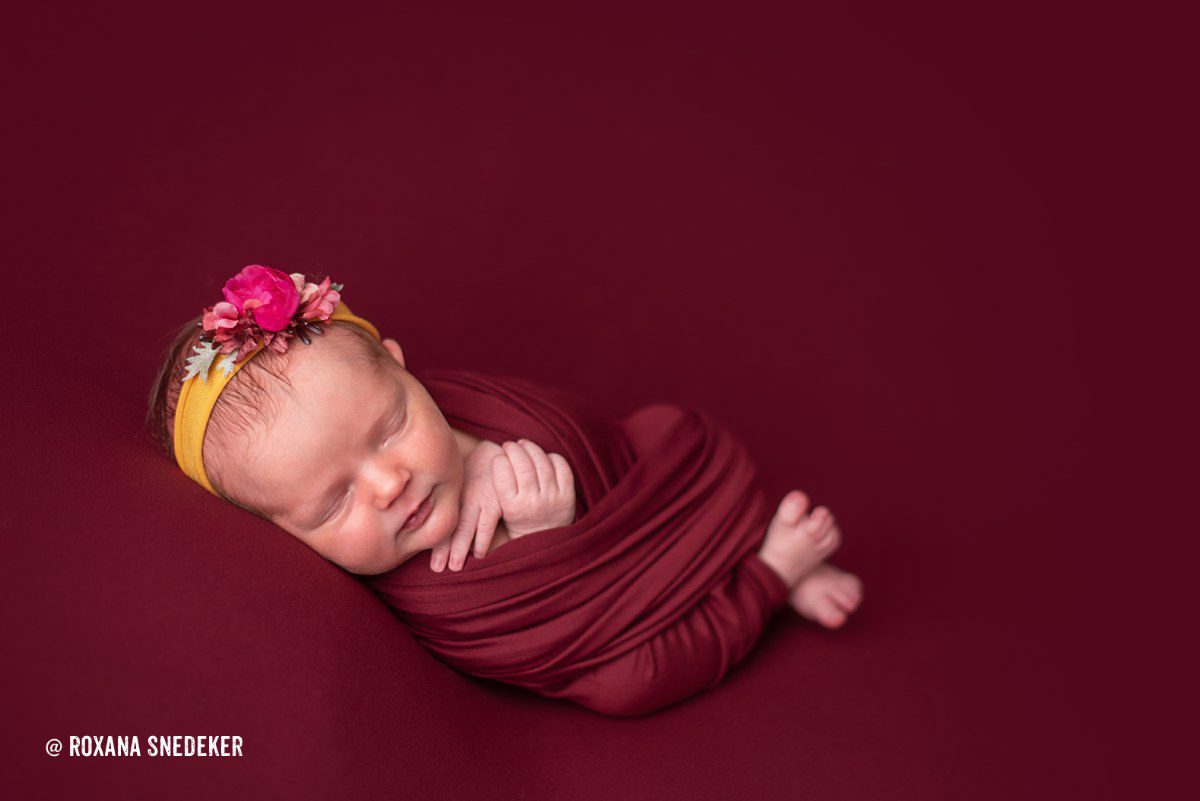 Indianapolis family & newborn photographer located in Noblesville, Indiana 