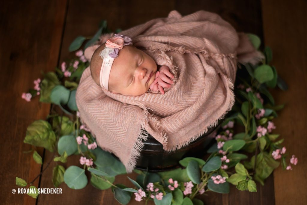 Newborn baby studio photo session, baby in basket with pink wrap and greenery.